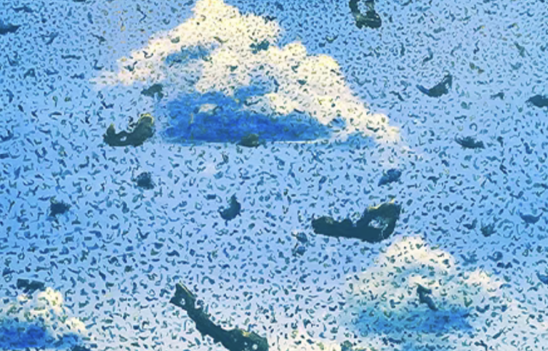 Edward A. Burke: Visual Reflections on a Changing Planet